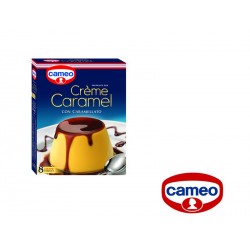 BUDINO CAMEO CREME CARAMEL BUSTA 2X 100 g