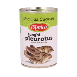 D'Amico Funghi Pleurotus gr 400